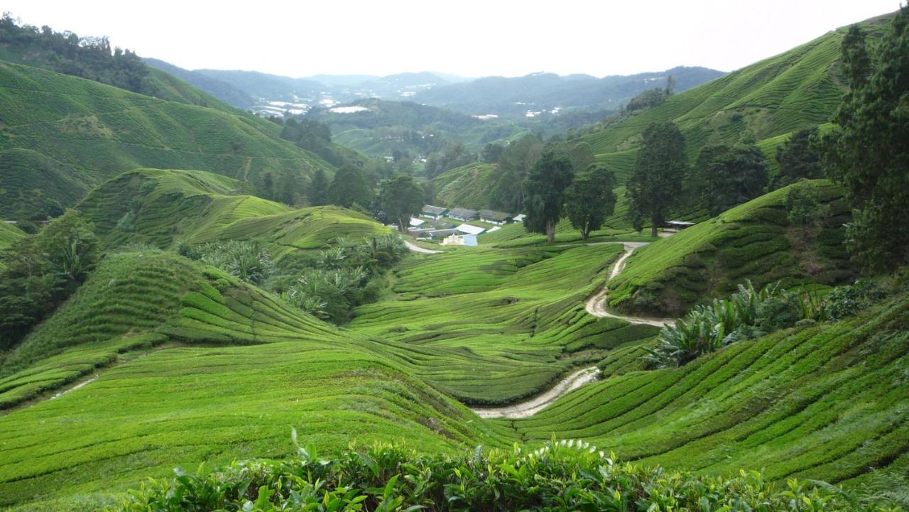 The Quintet Cameron Highlands By Tulip 丹那拉打 外观 照片